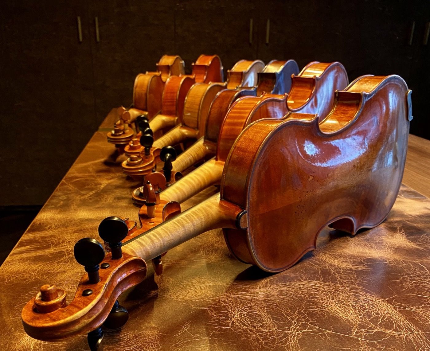 Violins in a row